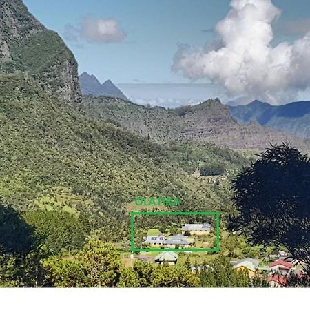 Olatika - Gite Des Cascades Cilaos Luaran gambar