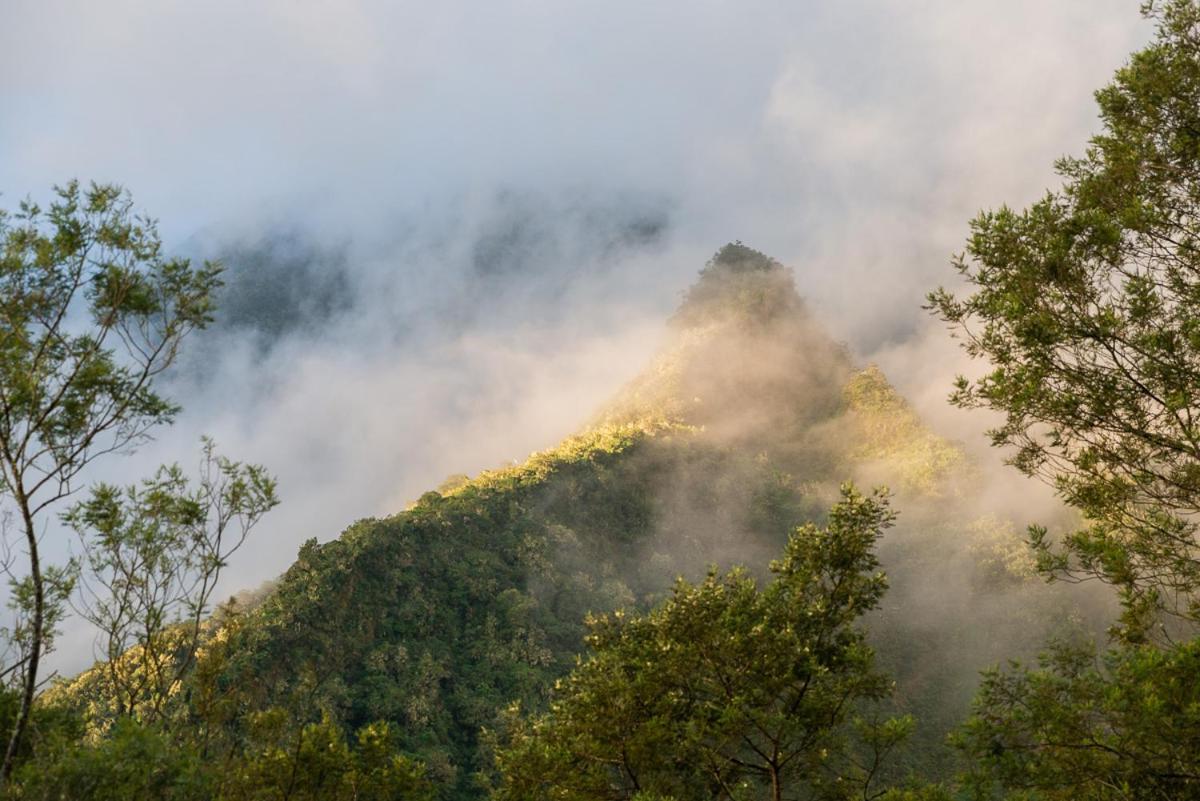 Olatika - Gite Des Cascades Cilaos Luaran gambar